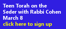 Teen Torah on the Seder - March 8