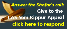 Yom Kippur Appeal 20141030